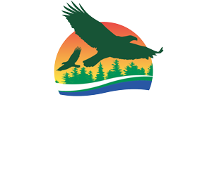 Stay & Play We're here for it! 